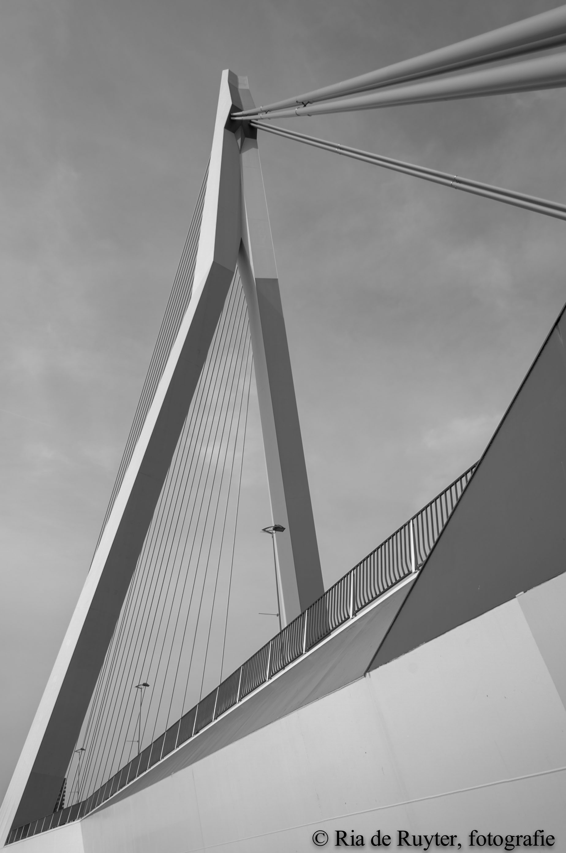 Brug -7402.jpg